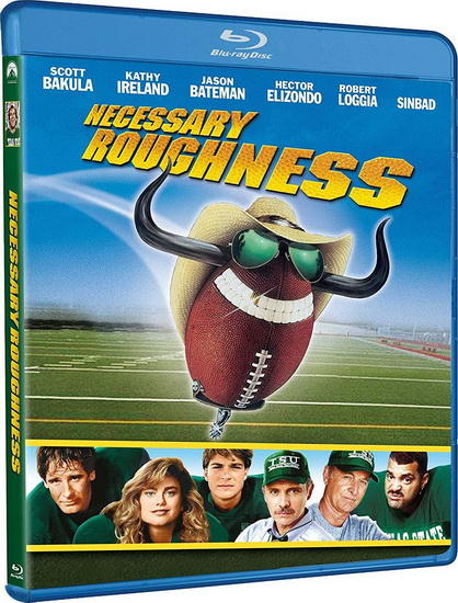 Necessary Roughness (Blu-Ray) - DRAGOTI STAN