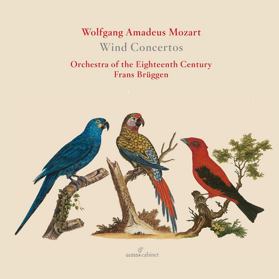 Mozart: Wind Concertos - MOZART