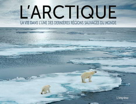 L&#39;Arctique : la vie dans l&#39;une des dernières régions sauvages du monde - CLAUDIA MARTIN