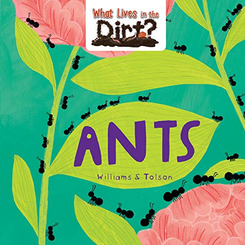 Ants - SUSIE WILLIAMS - HANNAH TOLSON