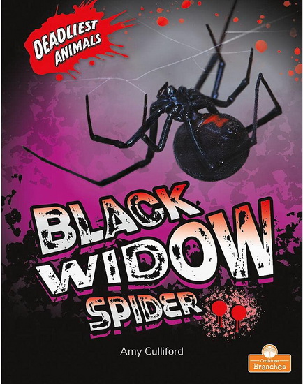 Black Widow Spider - AMY CULLIFORD