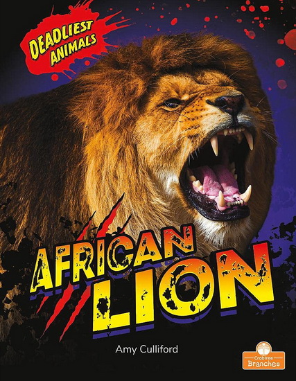 African Lion - AMY CULLIFORD