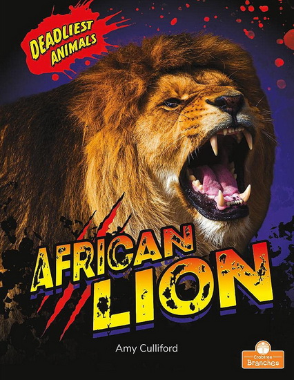 African Lion - AMY CULLIFORD