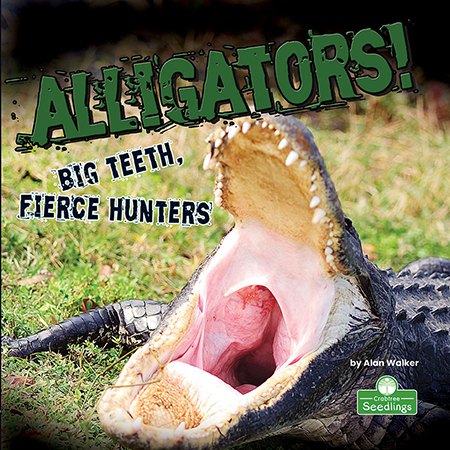 Alligators! Big Teeth, Fierce Hunters - ALAN WALKER