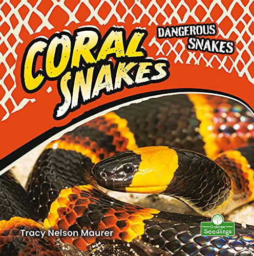 Coral Snakes - TRACY NELSON MAURER