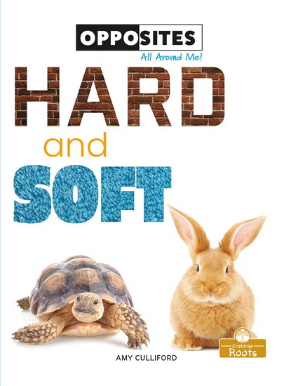 Hard and Soft - AMY CULLIFORD