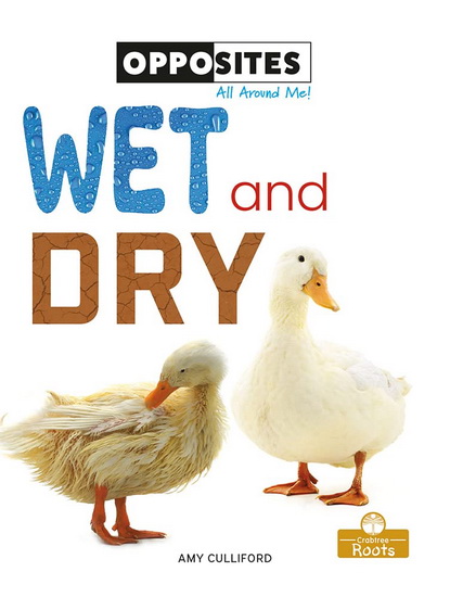 Wet and Dry - AMY CULLIFORD