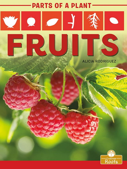 Fruits - ALICIA RODRIGUEZ