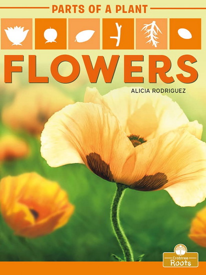 Flowers - ALICIA RODRIGUEZ