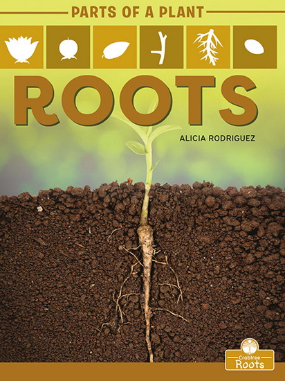 Roots - ALICIA RODRIGUEZ