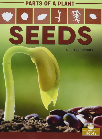 Seeds - ALICIA RODRIGUEZ