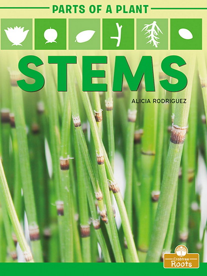 Stems - ALICIA RODRIGUEZ