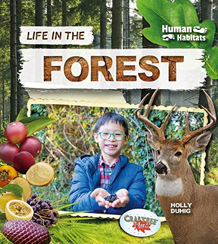 Life in the Forest - HOLLY DUHIG