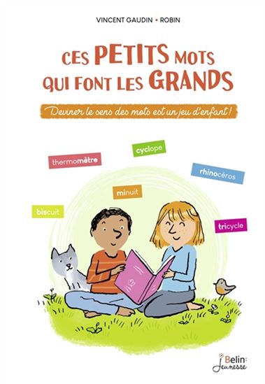 Ces petits mots qui font les grands 2e éd. - VINCENT GAUDIN - ROBIN