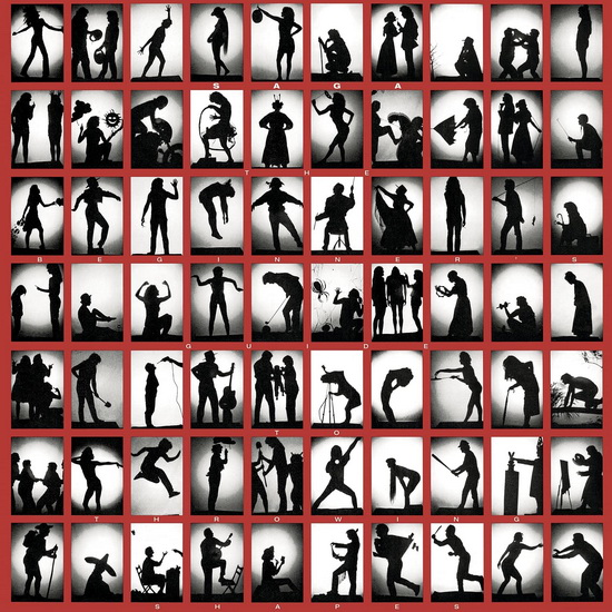 The Beginner's Guide To Throwing Shapes (Vinyle) - SAGA