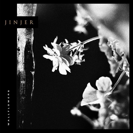 Wallflowers (Vinyle) - JINJER