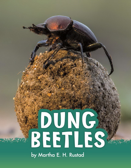 Dung Beetles - MARTHA E H RUSTAD