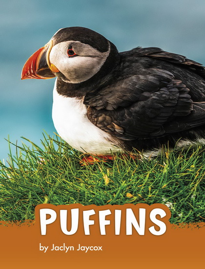 Puffins - JACLYN JAYCOX