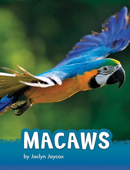 Macaws - JACLYN JAYCOX