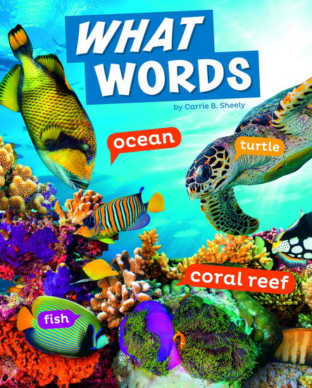 What Words - CARRIE B SHEELY