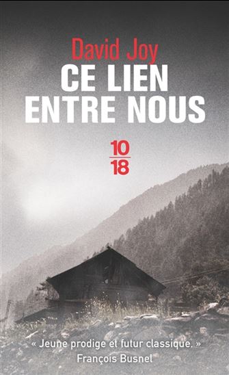 Ce lien entre nous - DAVID JOY