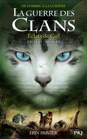 De l'ombre à la lumière #03 Éclats dans le ciel - ERIN HUNTER