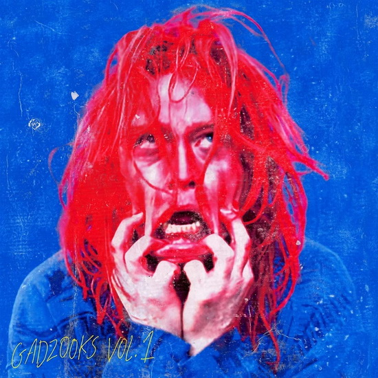Gadzooks Vol. 1 - CALEB LANDRY JONES
