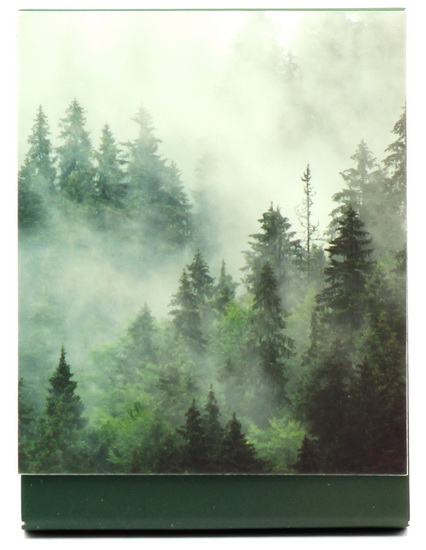 Calepin allumette forêt