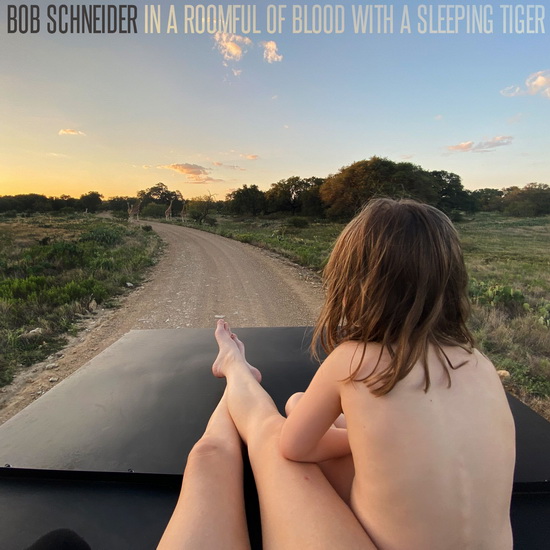 In A Roomful Of Blood With A Sleeping Tiger - BOB SCHNEIDER