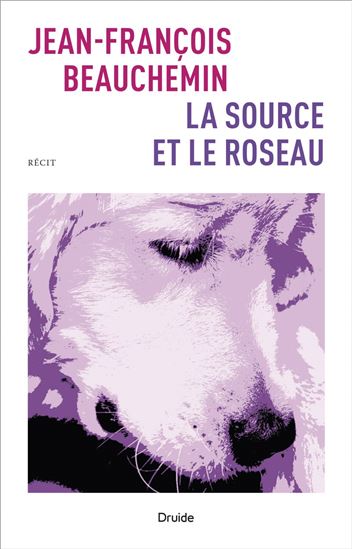 La Source et le roseau - JEAN-FRANÇOIS BEAUCHEMIN
