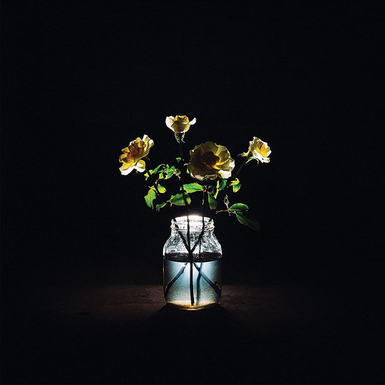 Renewal - BILLY STRINGS