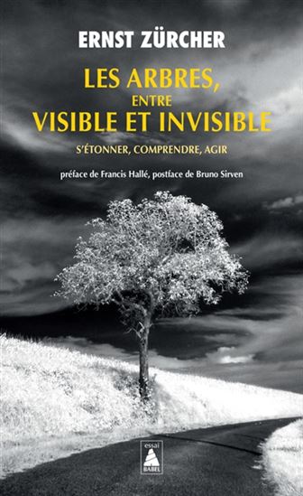 Les Arbres, entre visible et invisible - ERNST ZÜRCHER