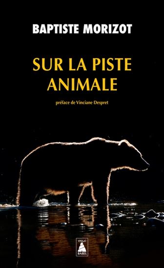 Sur la piste animale - BAPTISTE MORIZOT