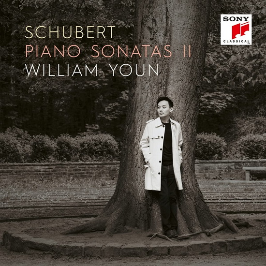 Schubert: Piano Sonatas II (2CD) - SCHUBERT