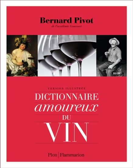 Dictionnaire amoureux du vin : version illustrée Éd. compacte - BERNARD PIVOT