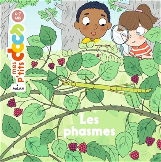 Les Phasmes - STÉPHANIE LEDU - CANDELA FERRANDEZ