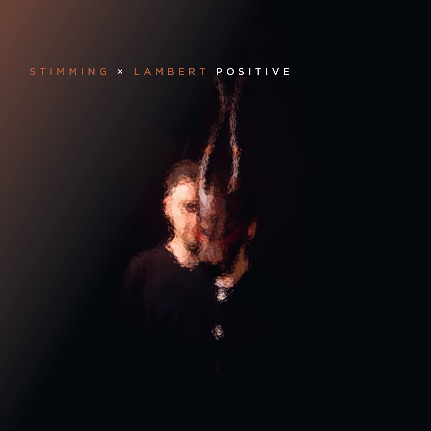 Positive - STIMMING X LAMBERT