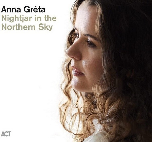 Nightjar In The Northern Sky - ANNA GRETA
