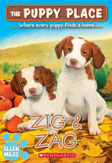 Zig & Zag (The Puppy Place #64) - ELLEN MILES