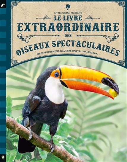 Le Livre extraordinaire des oiseaux spectaculaires - TOM JACKSON - VAL WALERCZUK