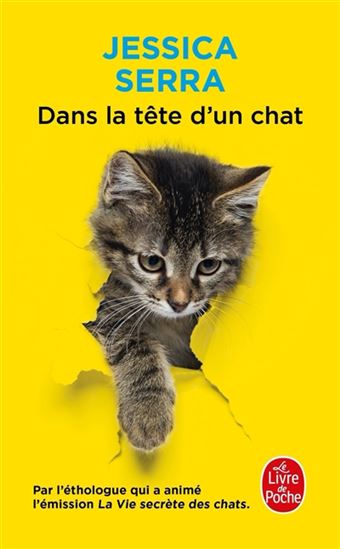 Dans la tête d'un chat - JESSICA SERRA