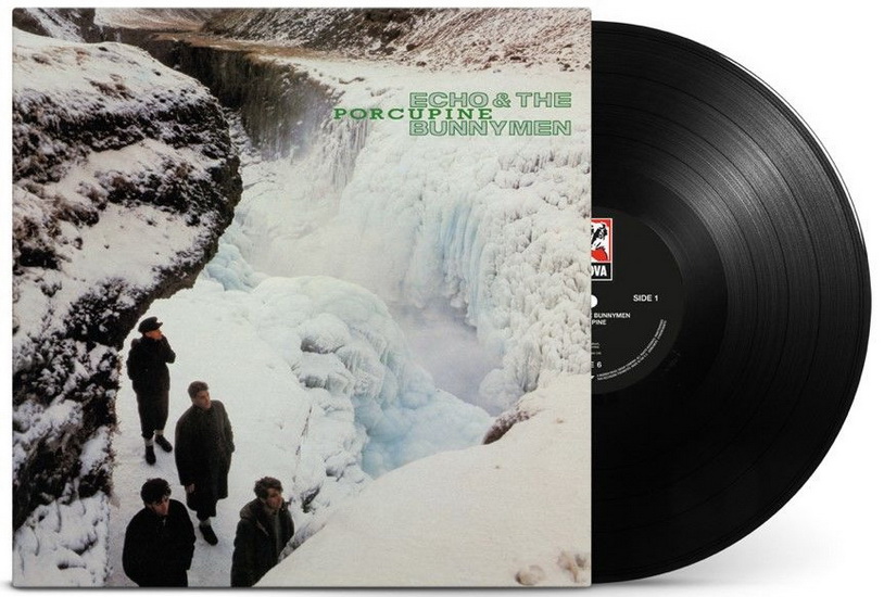 Porcupine (Vinyl) - ECHO & THE BUNNYMEN