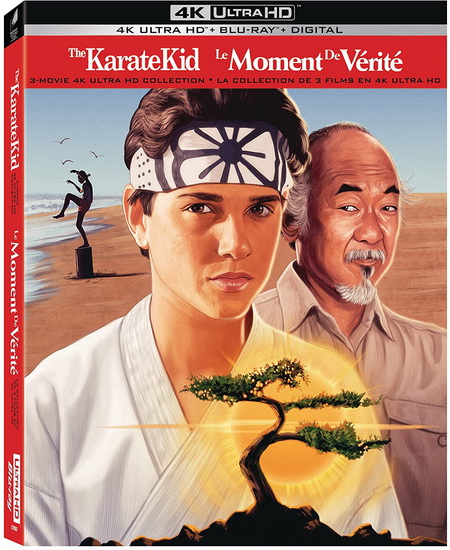 The Karate Kid 3 Movie Collection (4K+Blu-Ray) - DIVERS