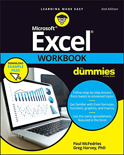 Excel Workbook For Dummies - PAUL MCFEDRIES