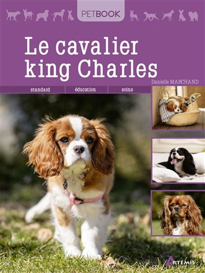 Le Cavalier king Charles N. éd. - DANIELLE MARCHAND