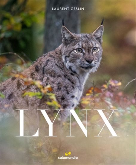 Lynx - LAURENT GESLIN