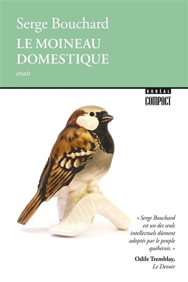 Le MOINEAU DOMESTIQUE - SERGE BOUCHARD