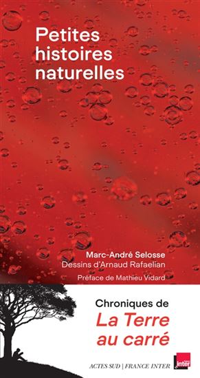 Petites histoires naturelles : chroniques de La Terre au carré - MARC-ANDRÉ SELOSSE