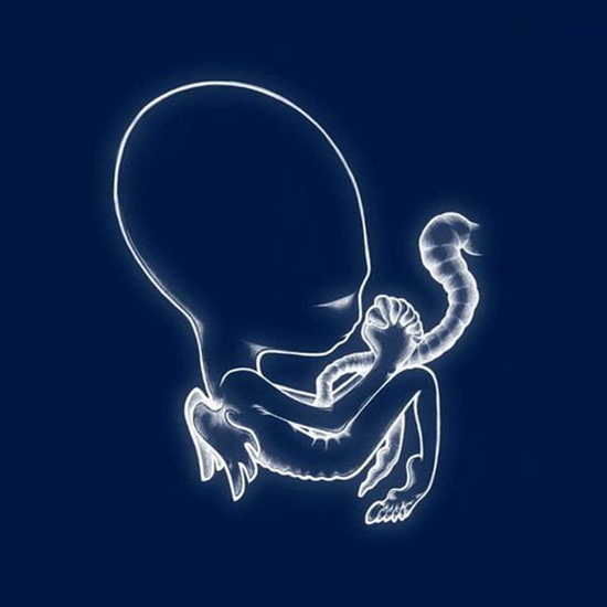 Ágætis byrjun (2Vinyl) - SIGUR RÓS