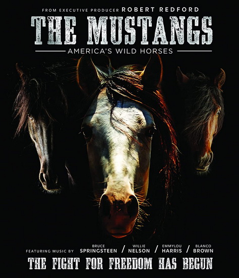 The Mustangs: America's Wild Horses (Blu-ray) - VARIOUS